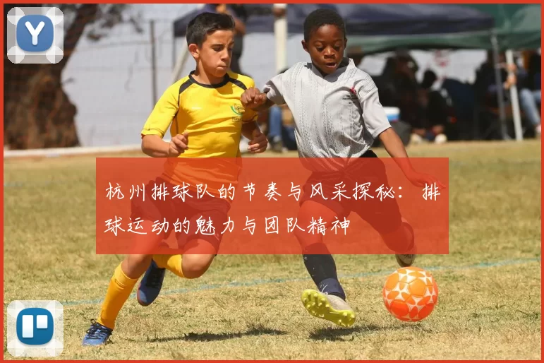 杭州排球队的节奏与风采探秘：排球运动的魅力与团队精神