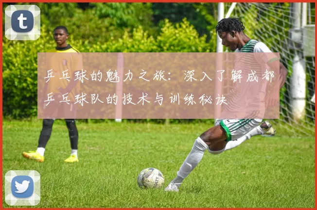 乒乓球的魅力之旅：深入了解成都乒乓球队的技术与训练秘诀