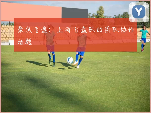 聚焦飞盘：上海飞盘队的团队协作话题